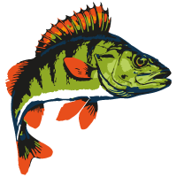 Nilsofky