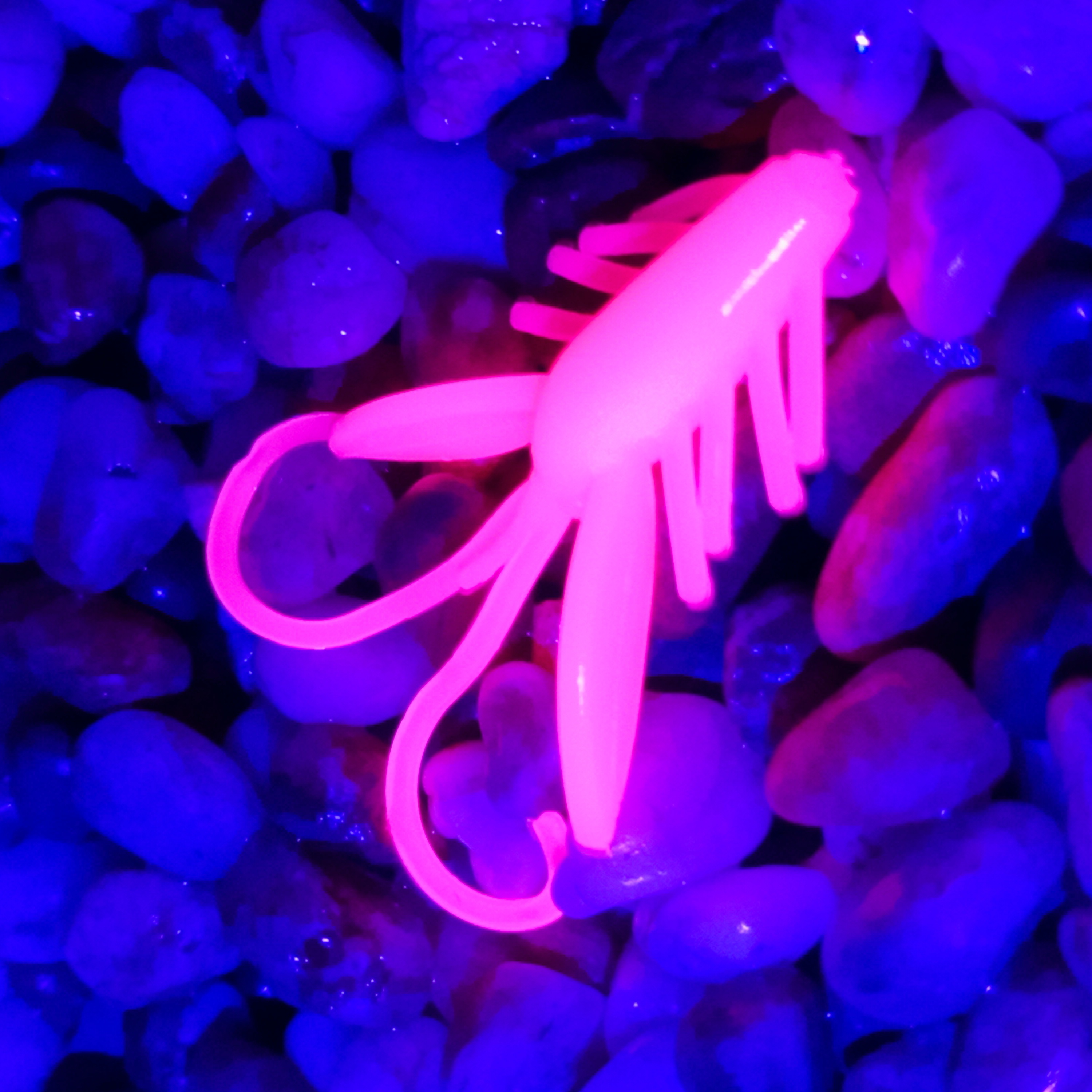 Nympcho - 12ks - 03 Pink UV - Sýr