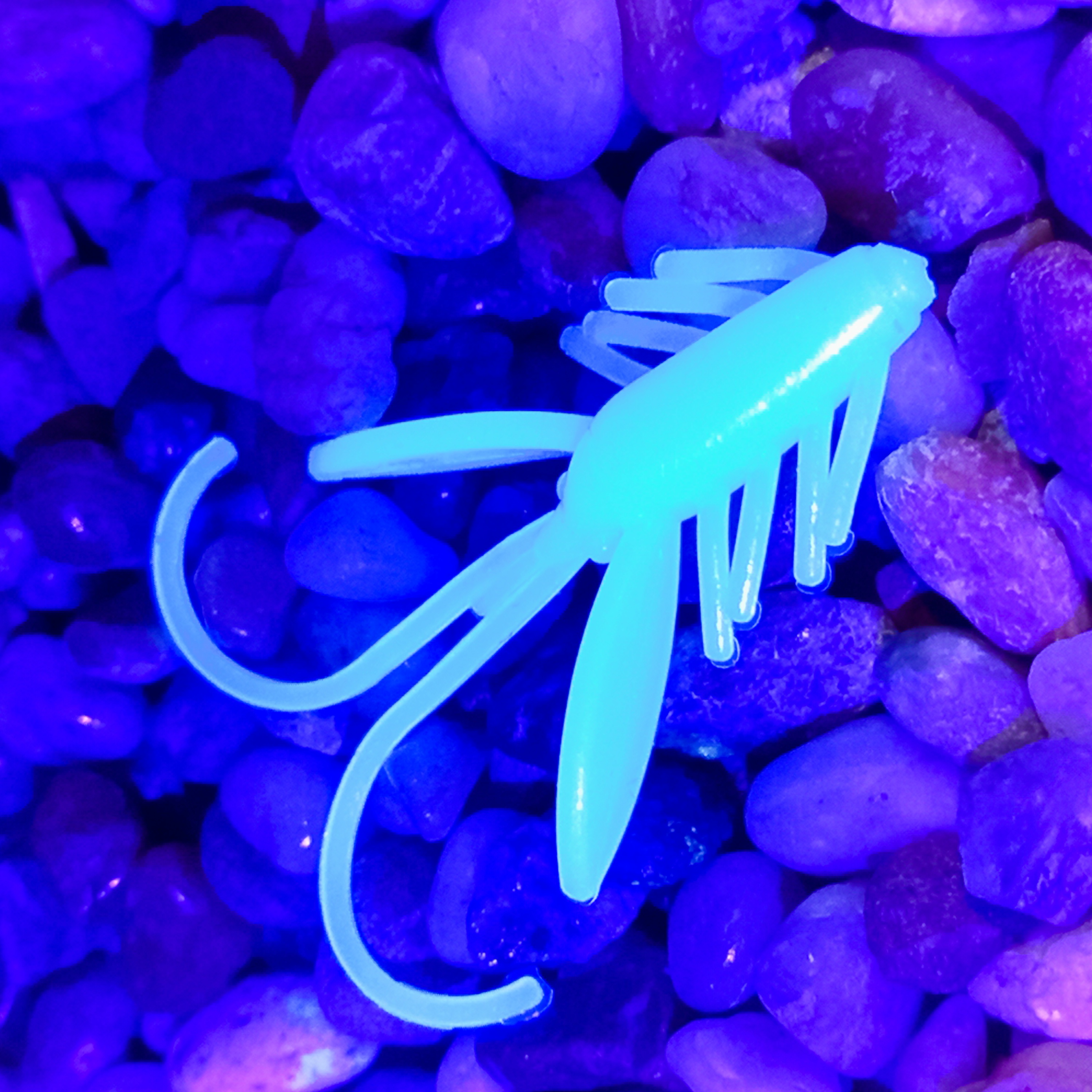 Nympcho - 12ks - 07 Light Blue UV - Sýr