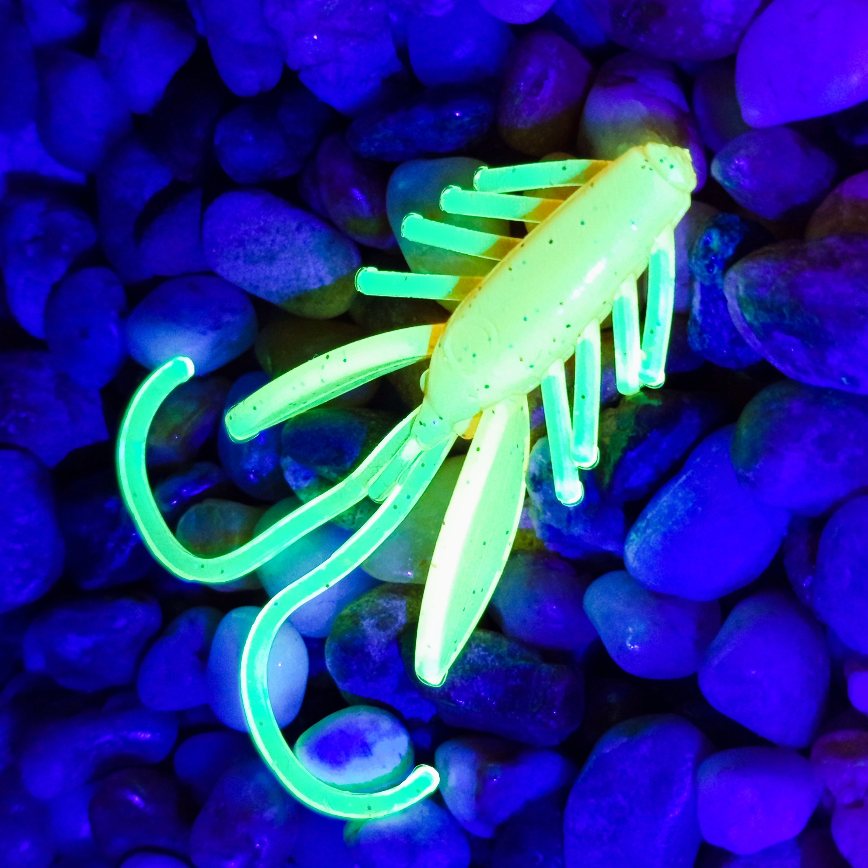 Nympcho - 12ks - 34 Honey Dream UV - Rak