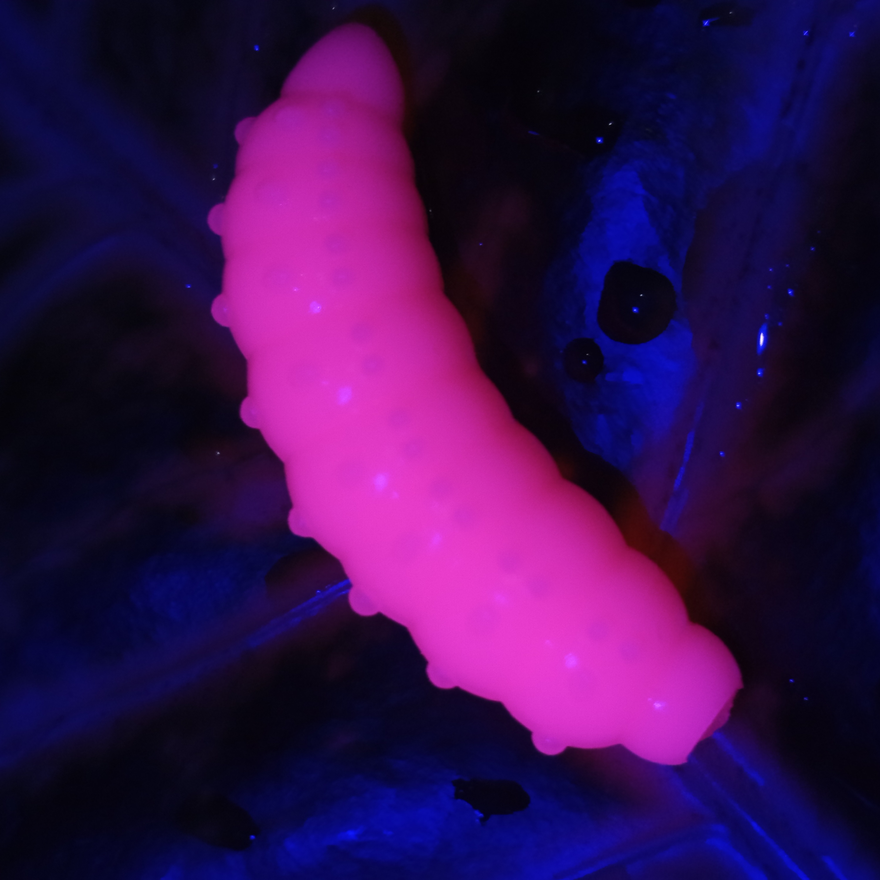 Bruncho 40 - 7ks - 03 Pink UV