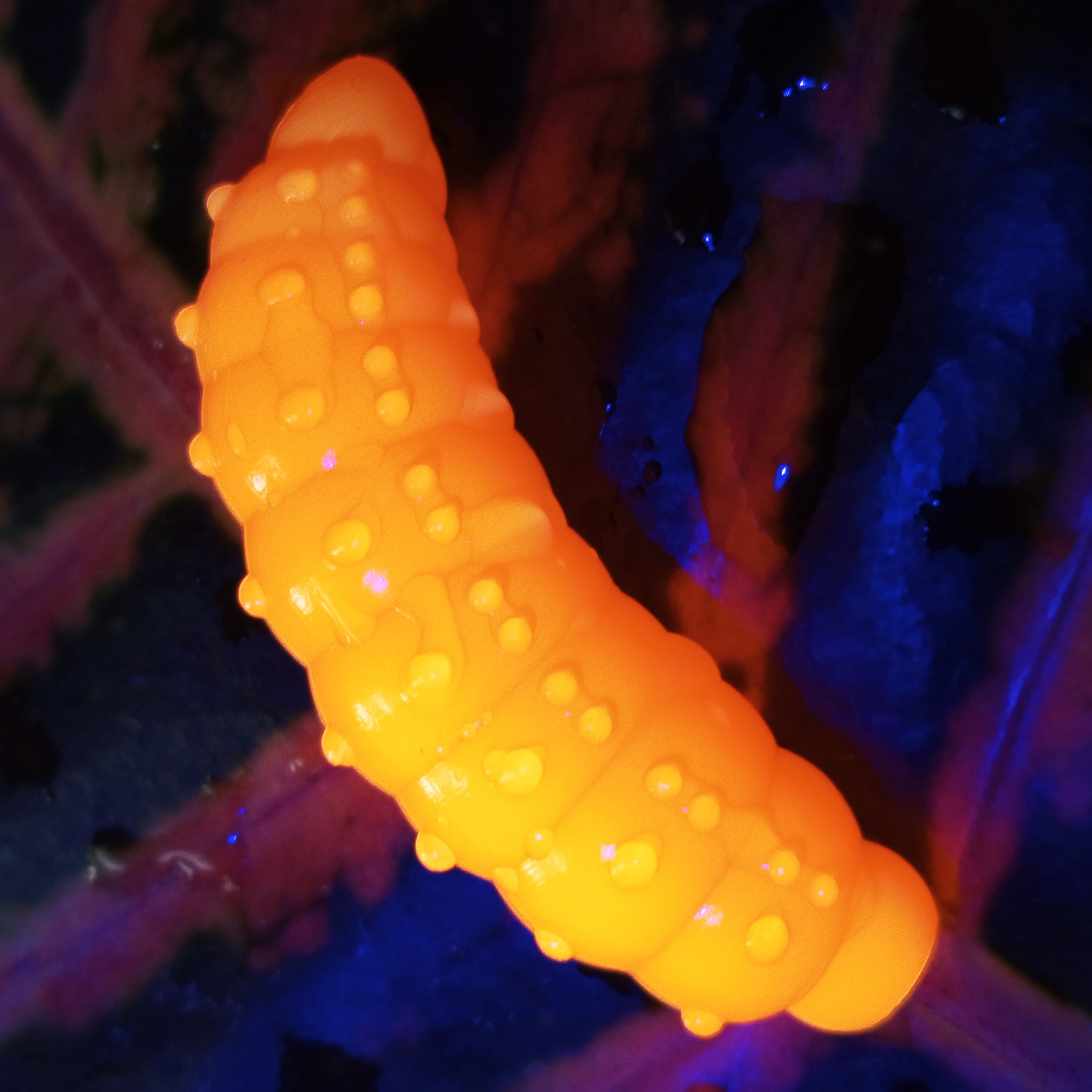 Bruncho 40 - 7ks - 50 Fluo Orange UV