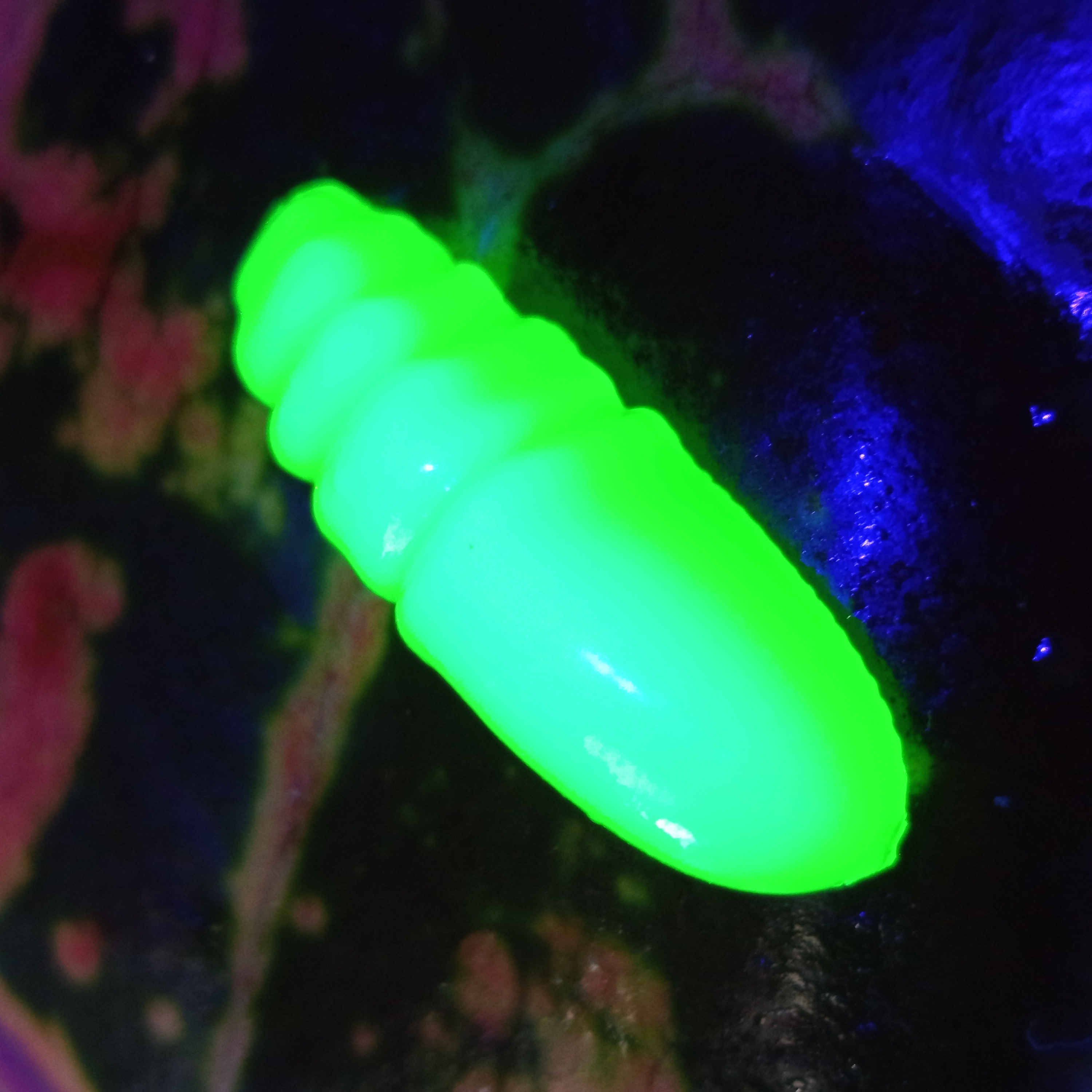 Pepcho 29 - 10ks - 51 Fluo Green UV