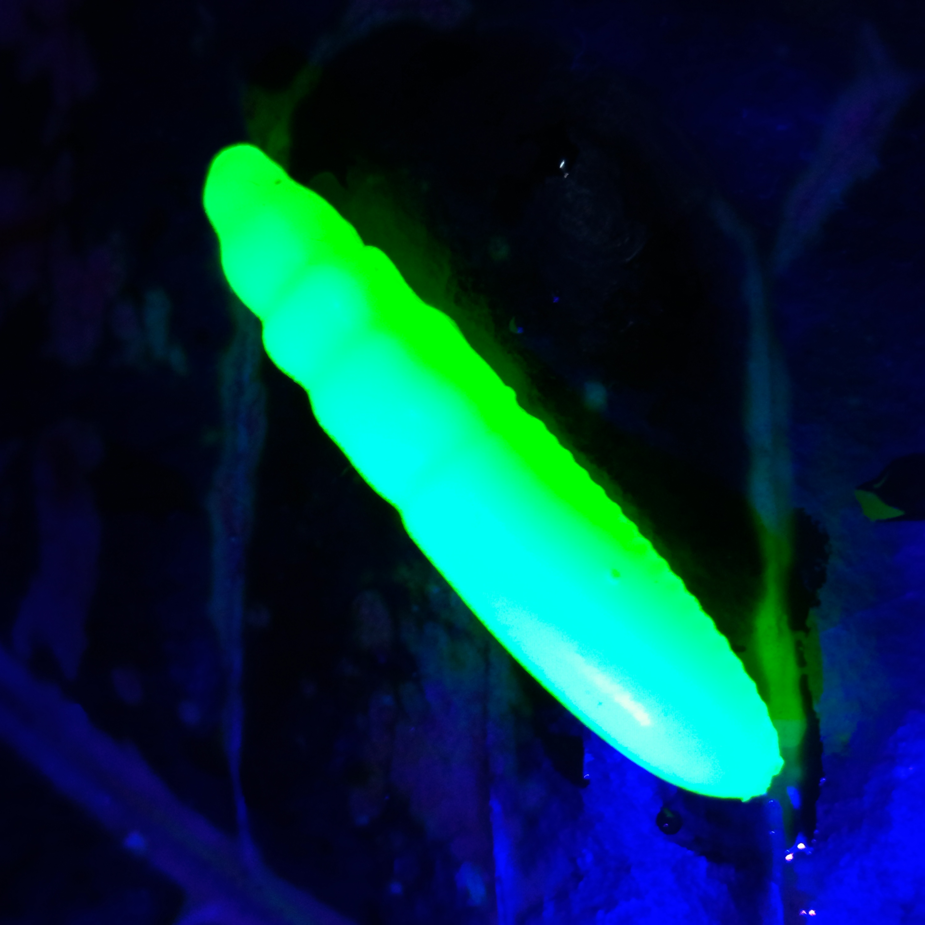 Pepcho Tiny - 10ks - 50 Fluo Green UV