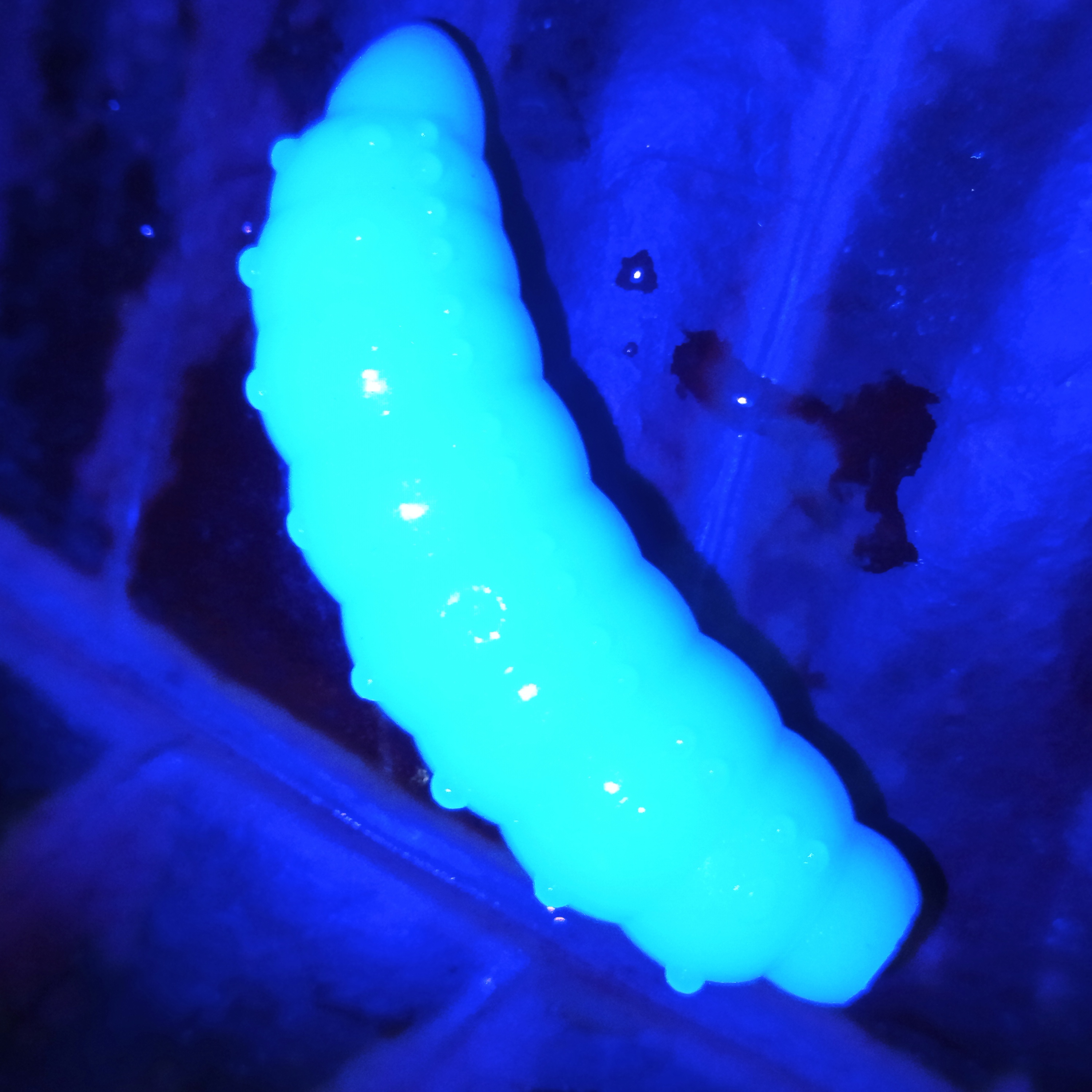 Bruncho 40 - 7ks - 07 Light Blue UV