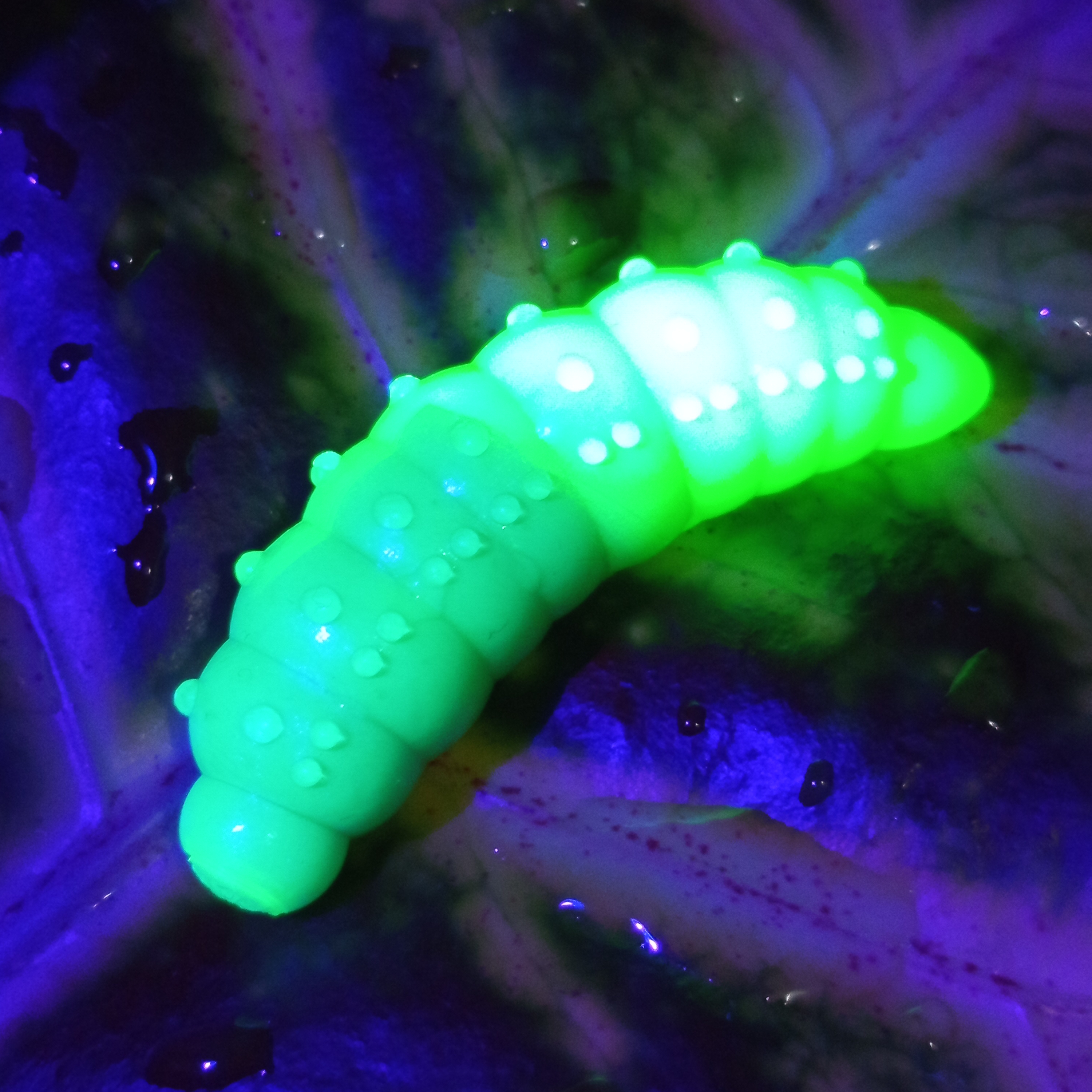 Bruncho 40 - 7ks - LE Salix UV + Fluo Green UV