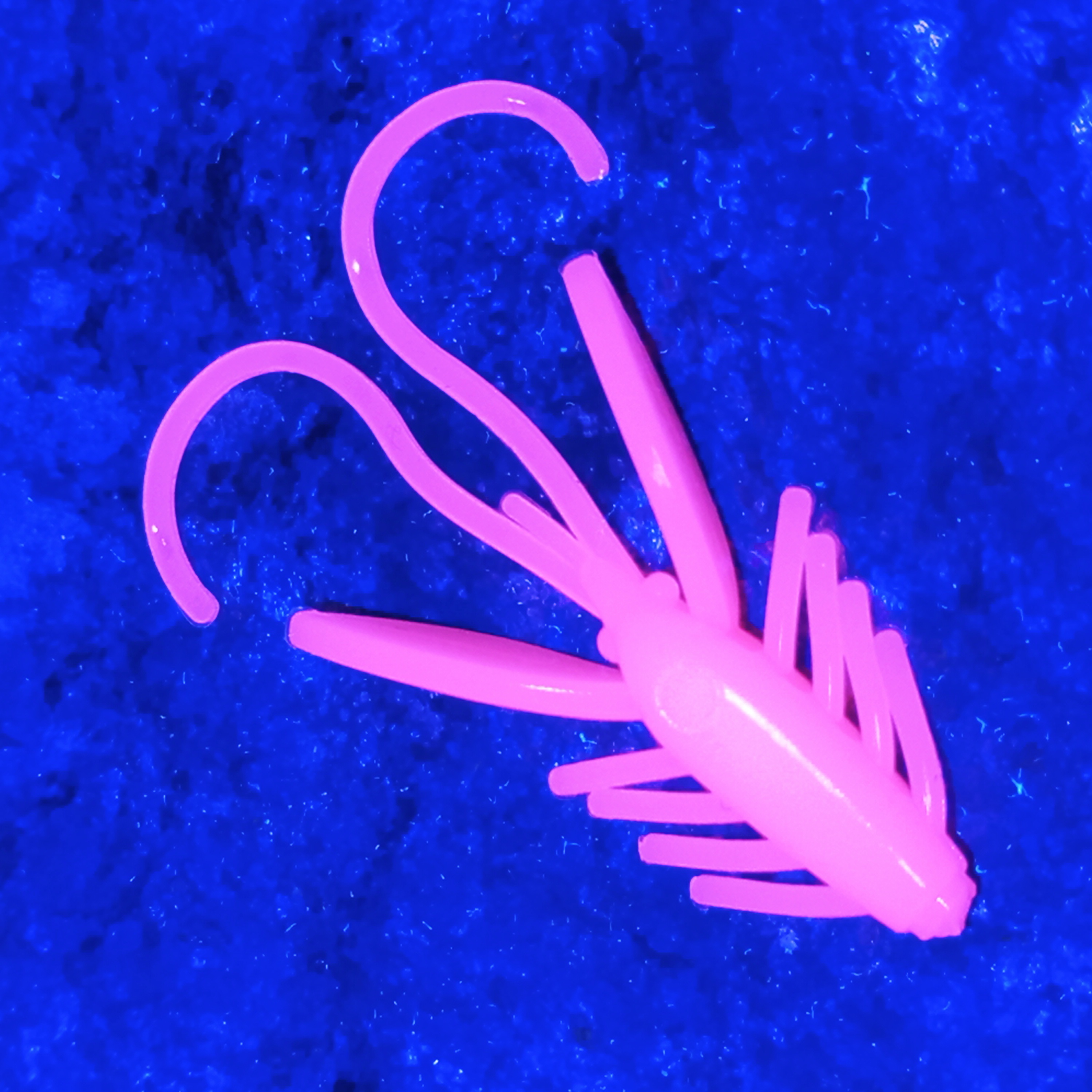 Nympcho - 12ks - LE Dirty Pink UV - Sýr