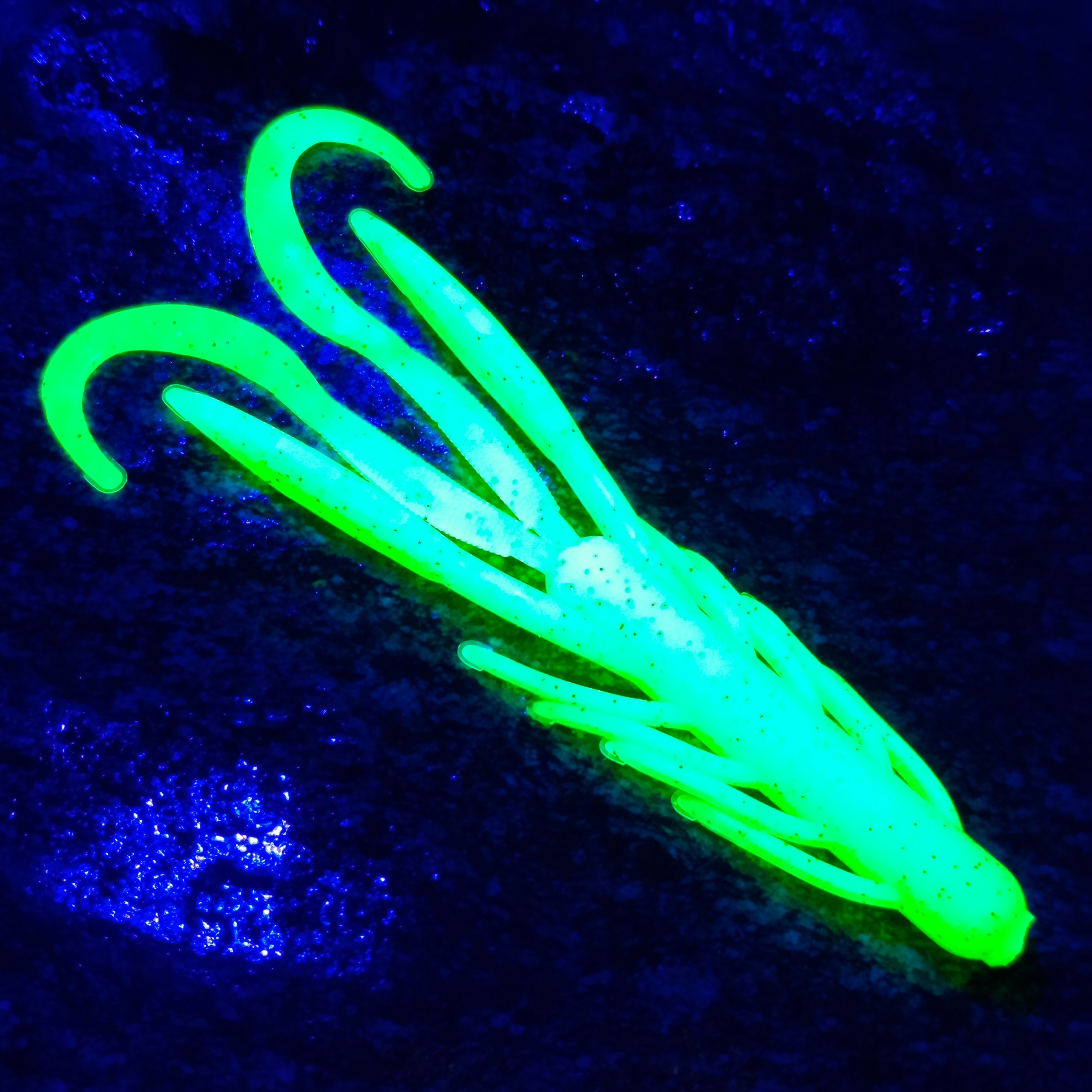Nyra 7 - 10ks - LE 77 Chartreuse Extra UV