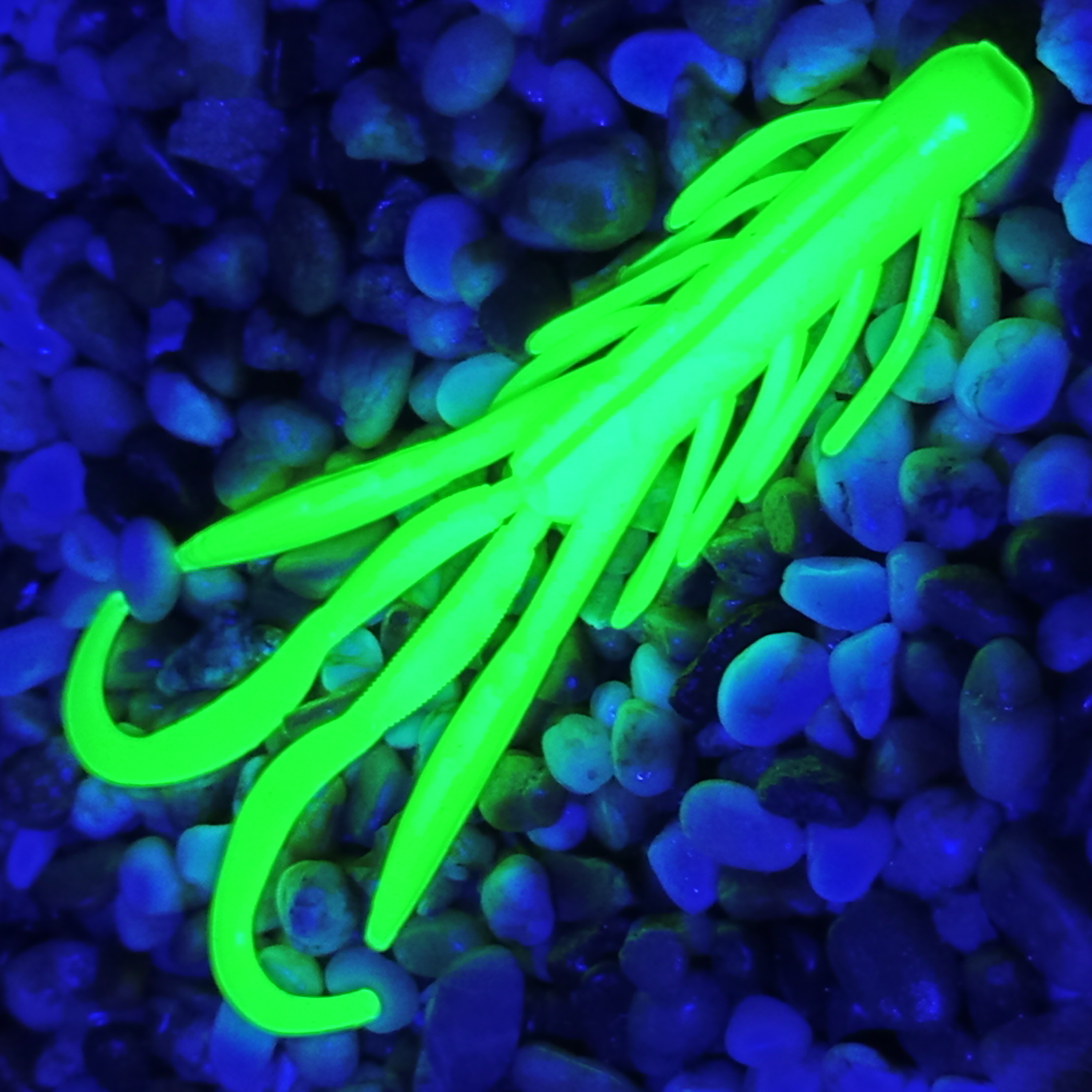 Nyra 10 - 6ks - 39 Chartreuse UV