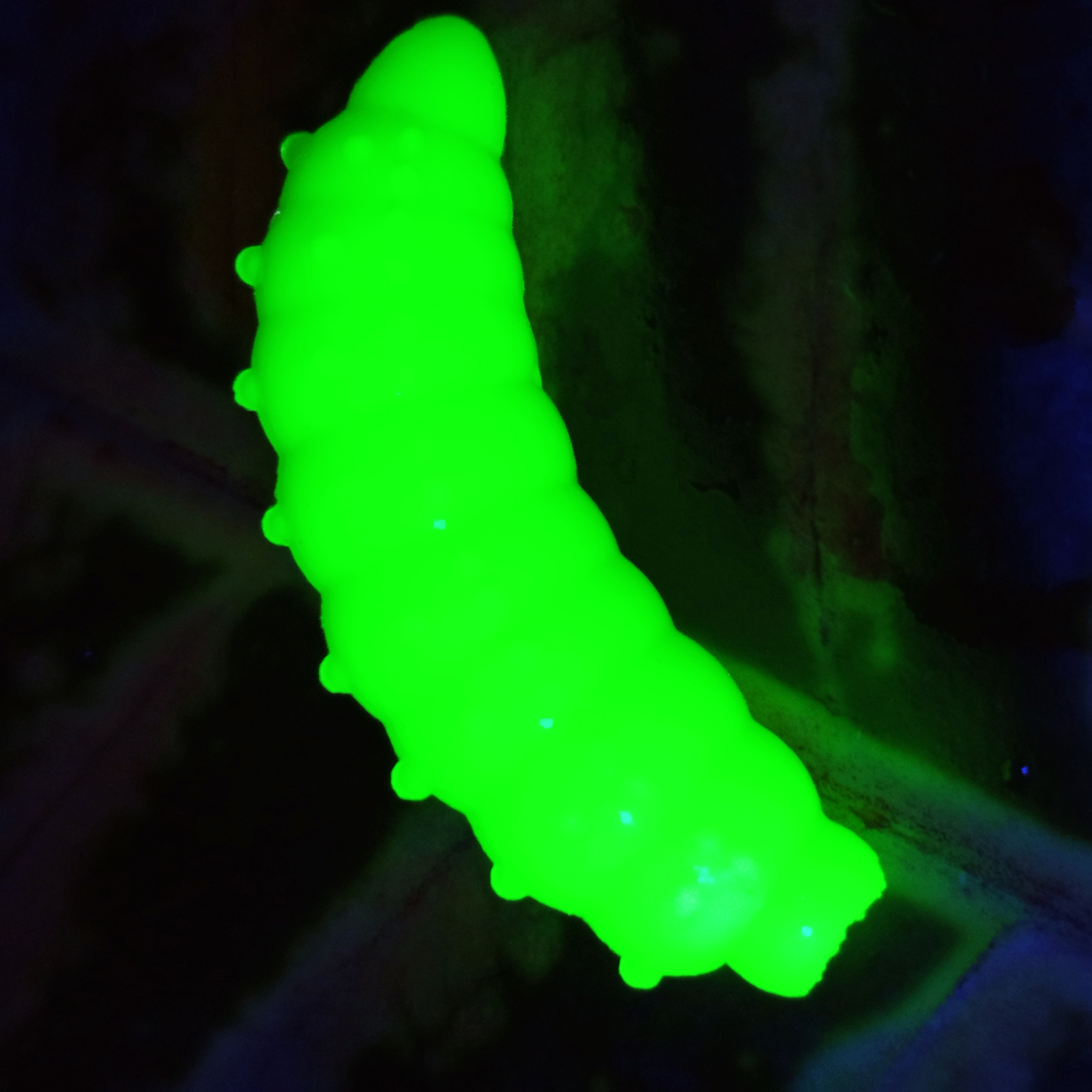 Bruncho 36 - 8ks - 51 Fluo Yellow UV