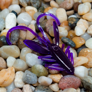 Nympcho - 12ks - 30 Ultraviolet - Rak