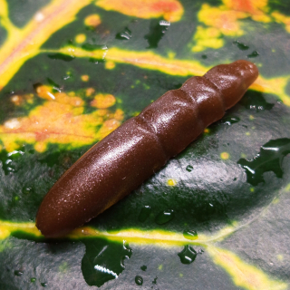 Pepcho Tiny - 10ks - 21 Catchy Brown UV