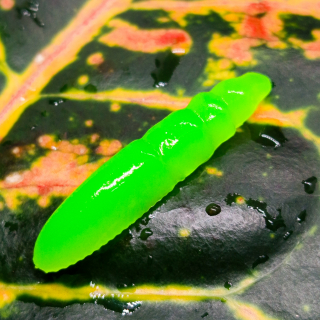 Pepcho Tiny - 10ks - 50 Fluo Green UV