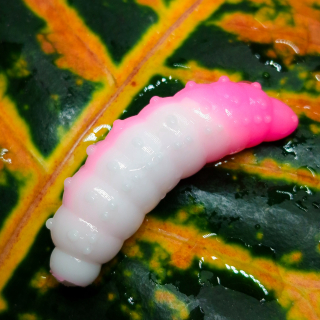 Bruncho 40 - 7ks - DB301 UV (White + Pink UV)
