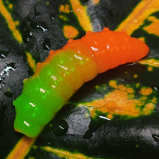 Bruncho 40 - 7ks - LE Fluo Green UV + Fluo Orange UV