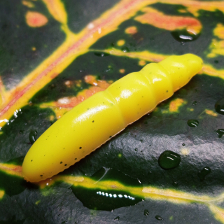 Pepcho Tiny - 10ks - 15 Leopard Yellow UV