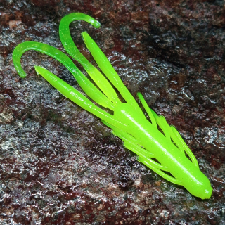 Nyra 7 - 10ks - 39 Shiny Chartreuse UV