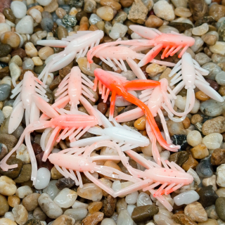 Nympcho - 12ks - 101 Koi UV - Sýr
